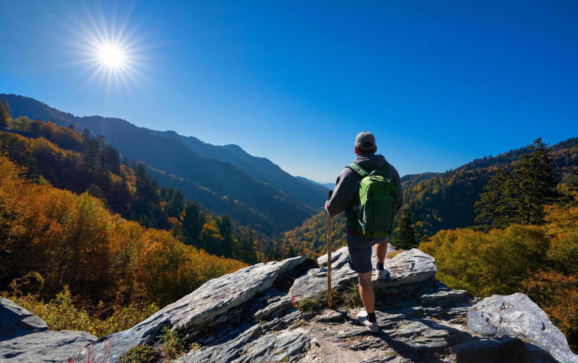 Smoky Bear Lodge With Guest House, Hot Tub, 1089 Free Tickets Each Paid Day, Dollywood And More Sevierville Ngoại thất bức ảnh
