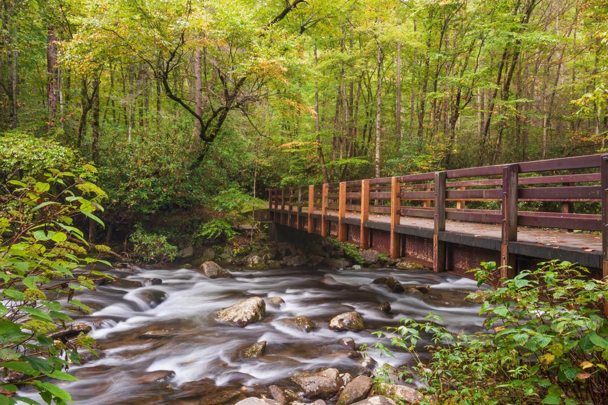 Smoky Bear Lodge With Guest House, Hot Tub, 1089 Free Tickets Each Paid Day, Dollywood And More Sevierville Ngoại thất bức ảnh
