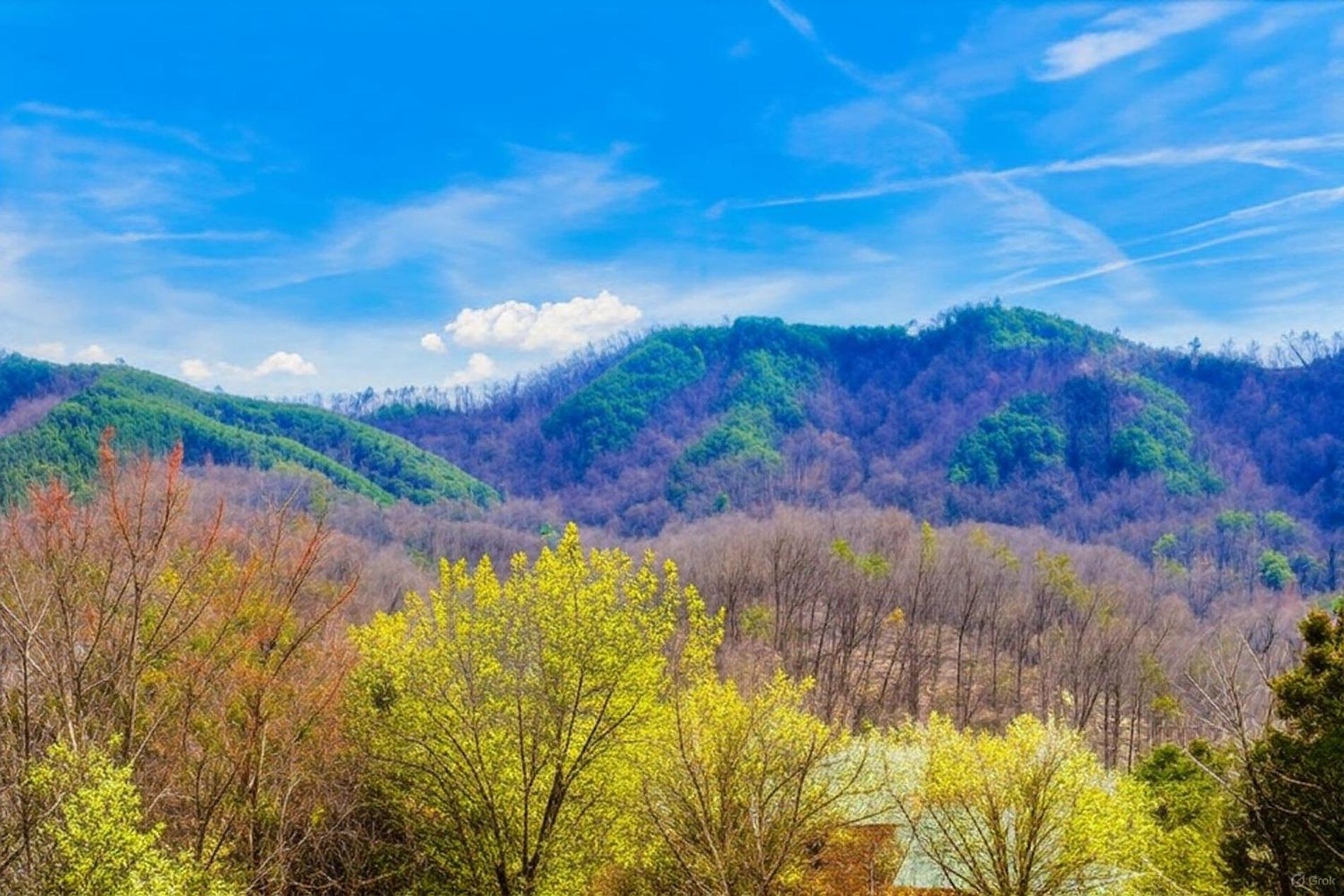 Smoky Bear Lodge With Guest House, Hot Tub, 1089 Free Tickets Each Paid Day, Dollywood And More Sevierville Ngoại thất bức ảnh